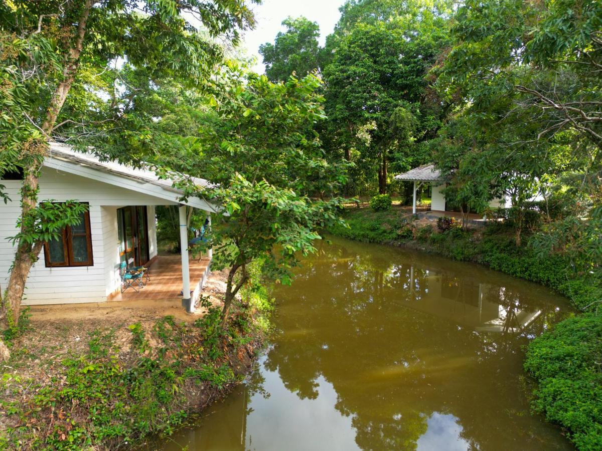 The River Retreat 麦岛 外观 照片