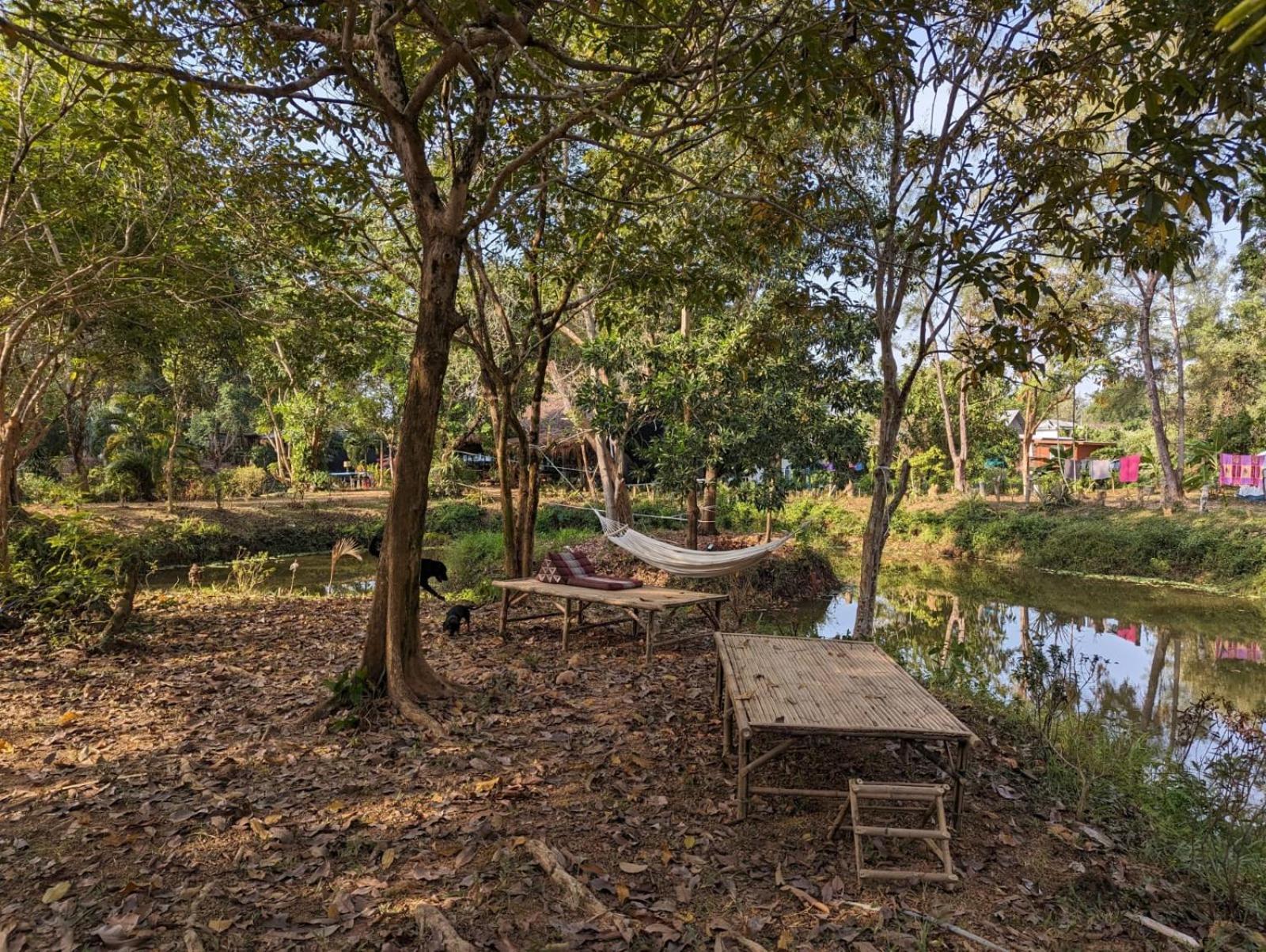 The River Retreat 麦岛 外观 照片