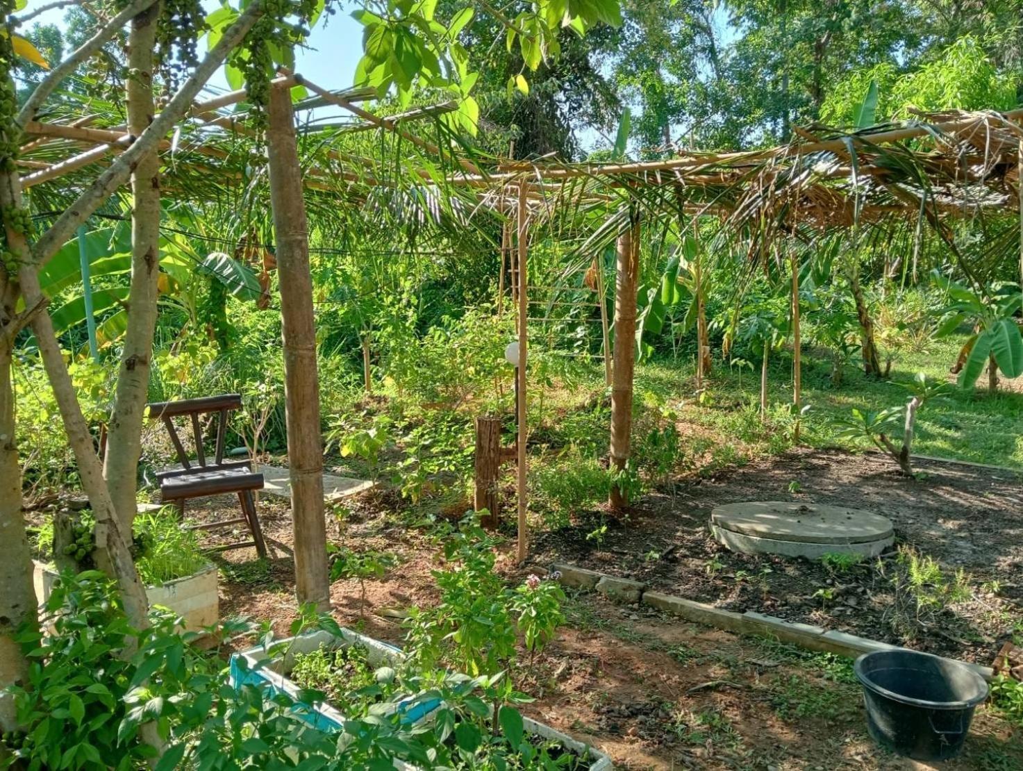 The River Retreat 麦岛 外观 照片