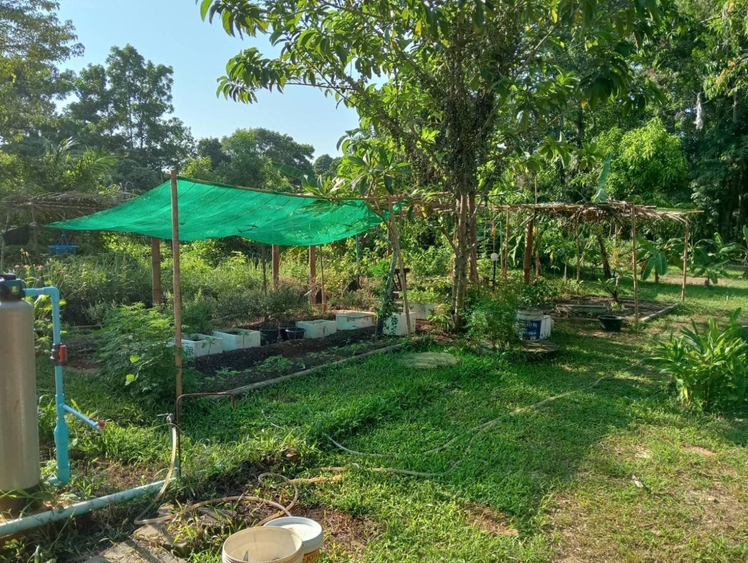 The River Retreat 麦岛 外观 照片