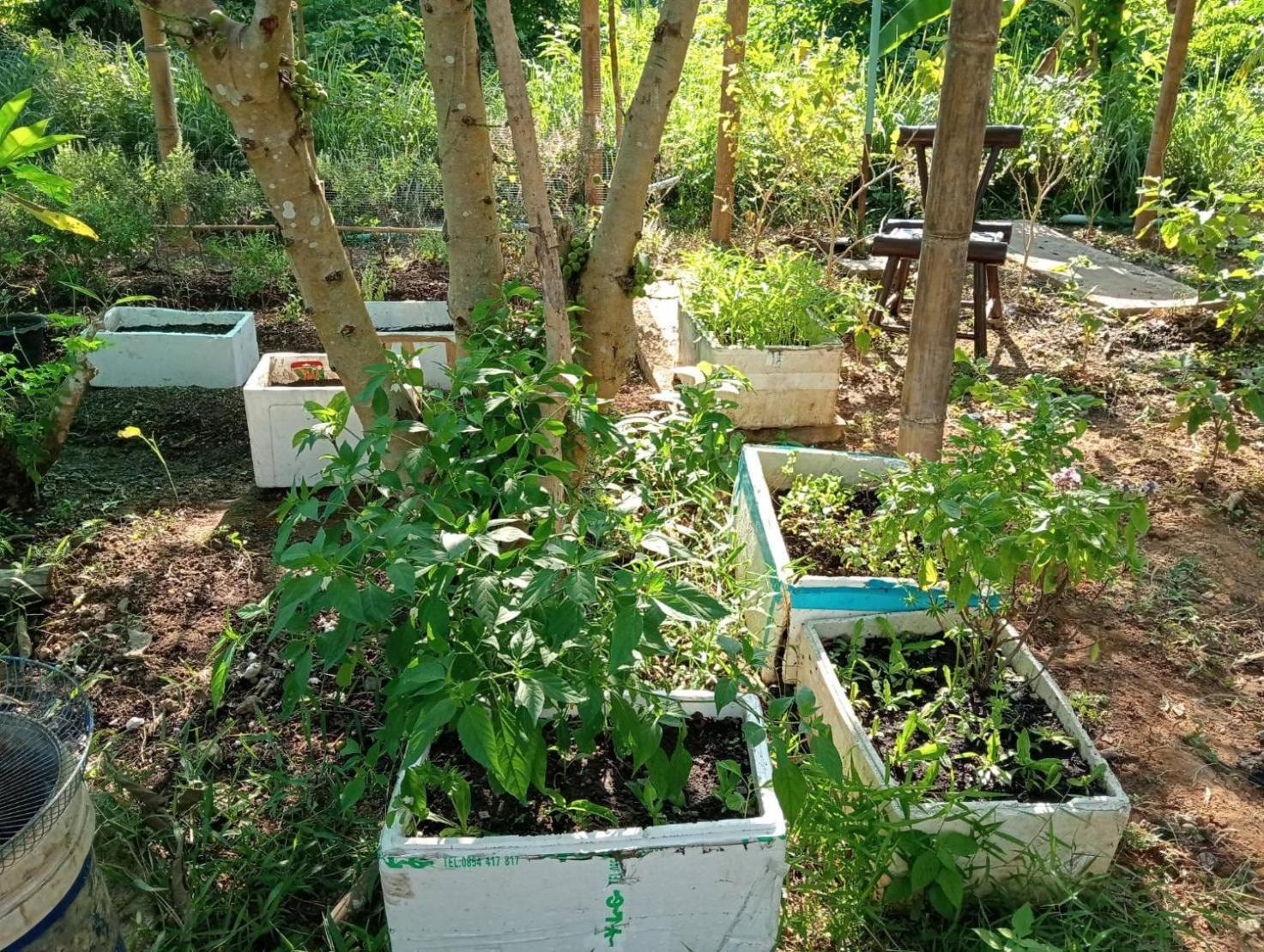 The River Retreat 麦岛 外观 照片