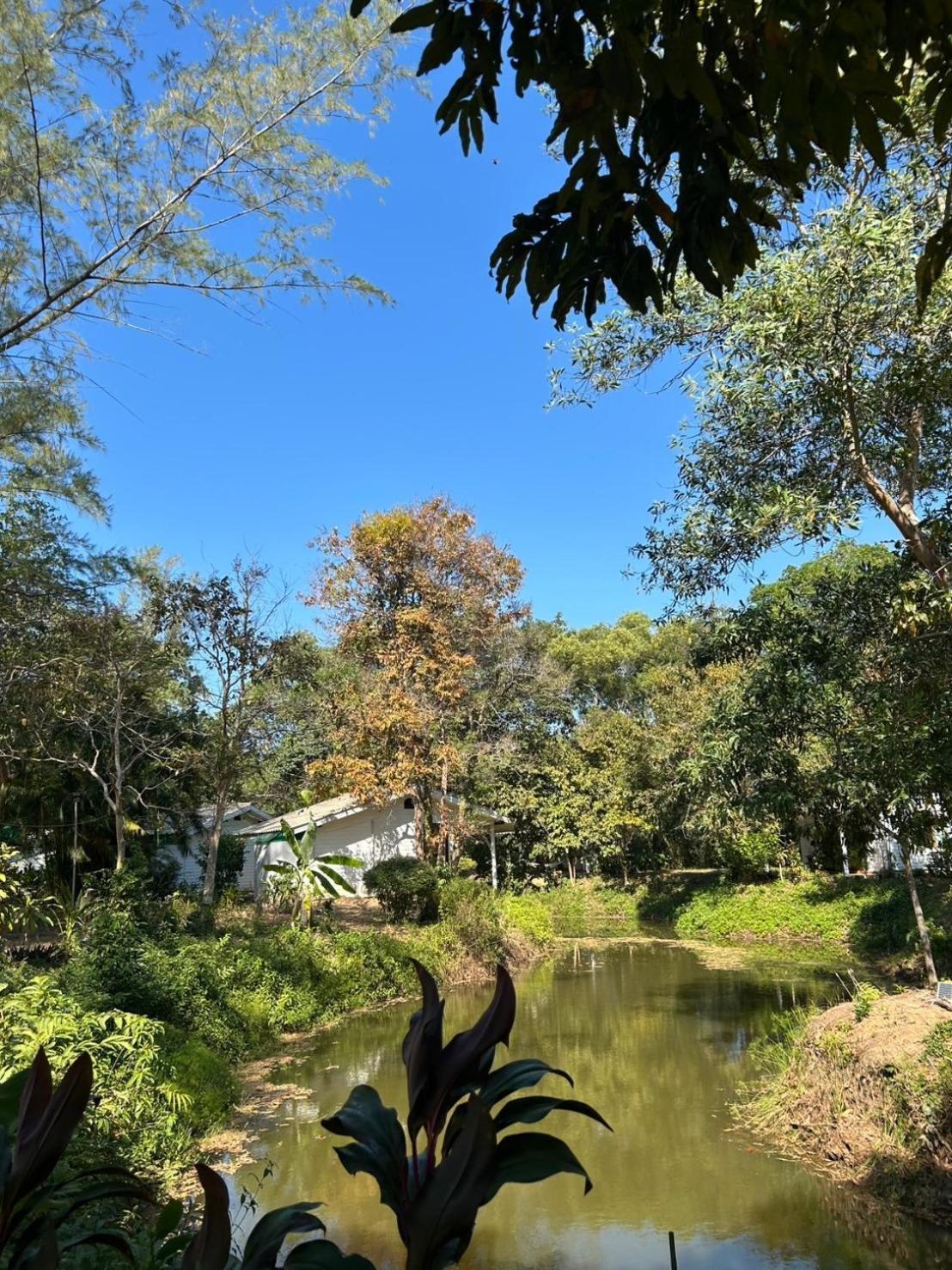The River Retreat 麦岛 外观 照片